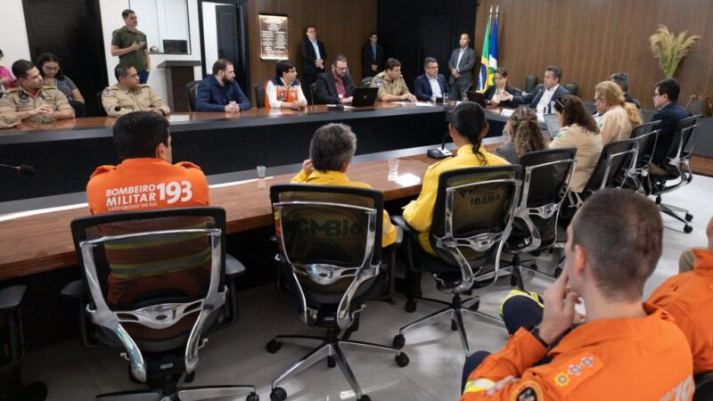 MT e MS terão pontos estratégicos de atuação no combate a incêndios no Pantanal