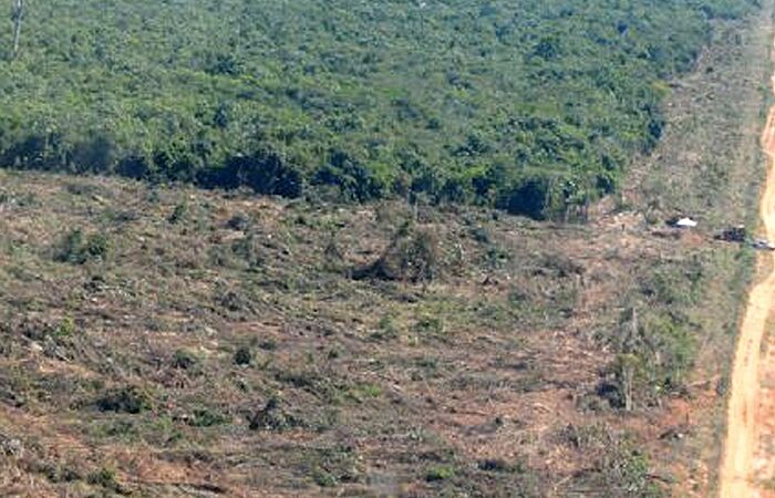 Operação ambiental identifica 7 pontos de desmates no Nortão; multa de R$ 12 milhões e apreensões
