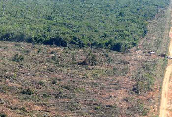 Operação ambiental identifica 7 pontos de desmates no Nortão; multa de R$ 12 milhões e apreensões