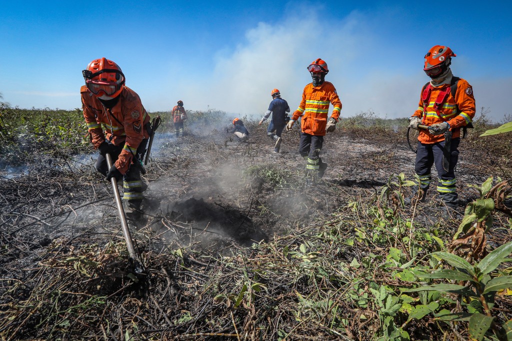 Corpo de Bombeiros segue no combate ao incêndio em Porto Conceição nesta quinta-feira (11)