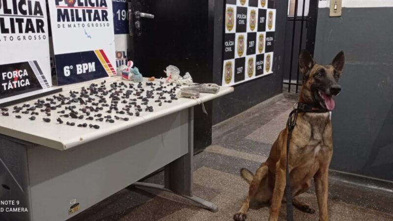 Cão farejador do Gefron auxilia na apreensão de drogas em Cáceres