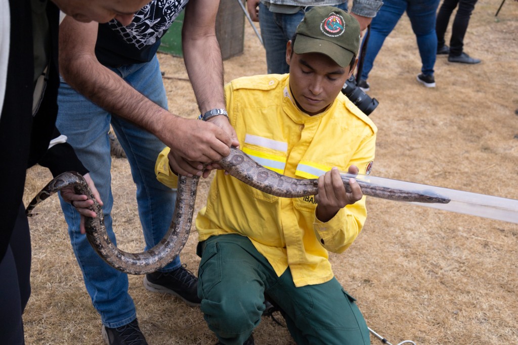 Capacitação da Sema inclui técnicas de manuseio de serpente e uso de cambão e zarabatana