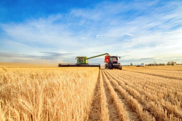 Lei permite a produtor rural usar cadastro ambiental para cálculo do ITR