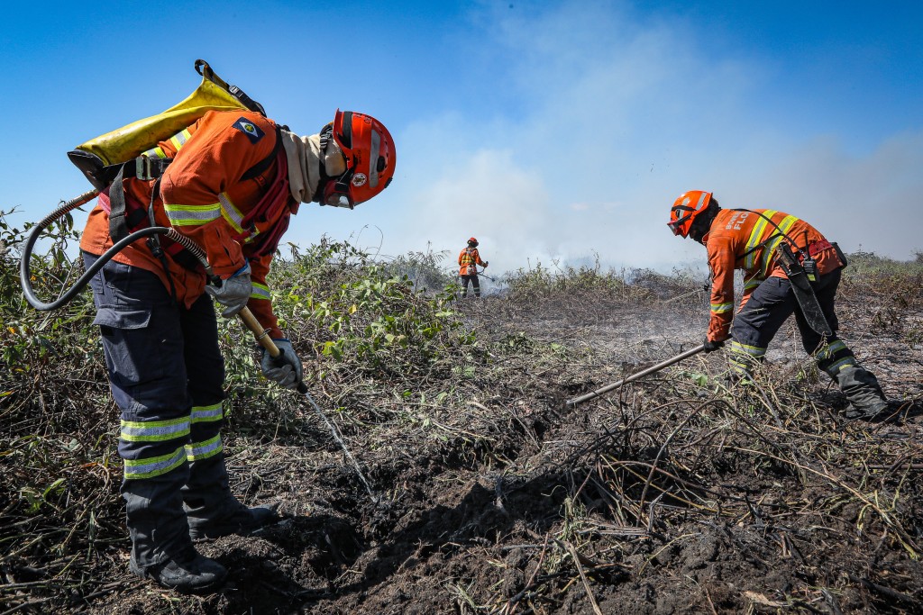 Corpo de Bombeiros segue no combate ao incêndio no Pantanal nesta quarta-feira (10)