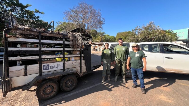 Em ação preventiva, Sema reforça equipe de fauna com cinco veterinários especializados em animais silvestres