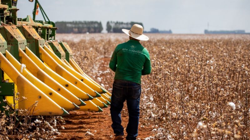 Governo de MT lança linha de crédito de até R$ 1,5 milhão para produtores rurais