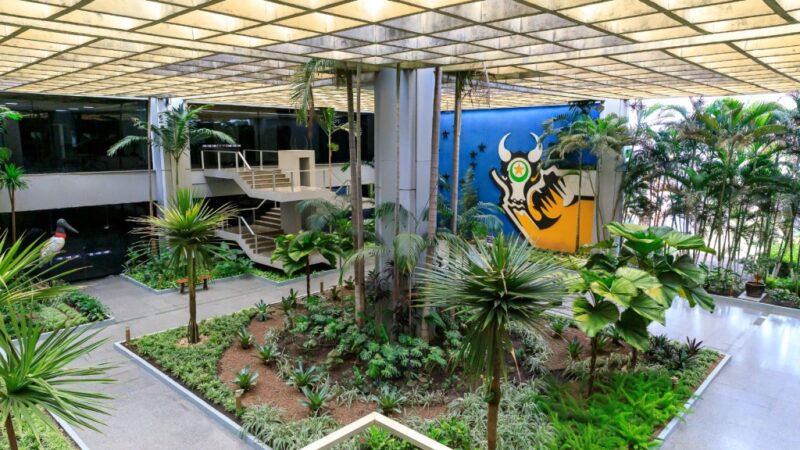 Seplag prorroga prazo para inscrições no programa Acelera Gov MT