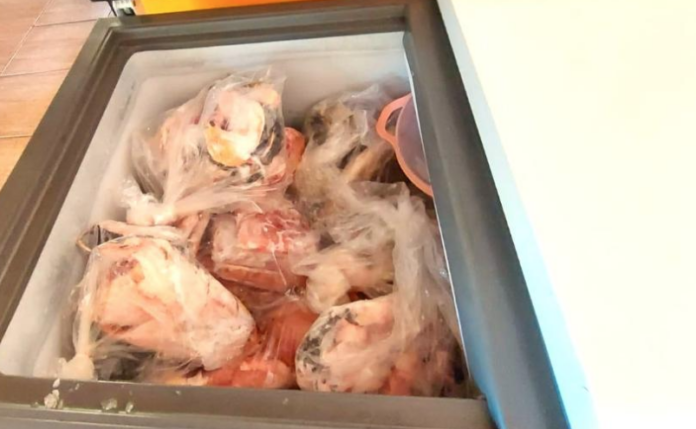 Fiscalização apreende 45 kg de pescado em MT e multa proprietária de pousada