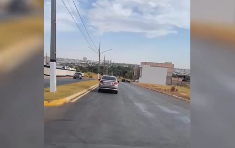 SORRISO Tarado persegue motociclista após chamá-la de “morena gostosa” e tenta derrubá-la de moto; veja vídeo