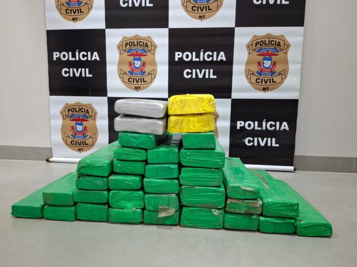 Polícia apreende mais de 30 quilos de drogas no Nortão