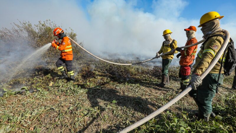 Bombeiros de MT continuam ações de combate ao incêndio em Cáceres nesta terça-feira (16)