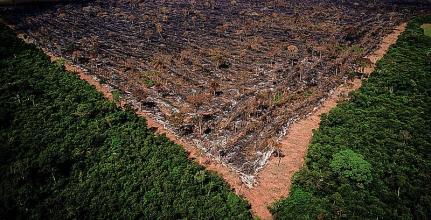 Justiça Federal determina reintegração de posse da Terra Indígena Piripkura
