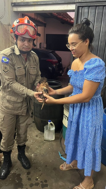 Corpo de Bombeiros resgata cachorro que ficou preso em cano de esgoto