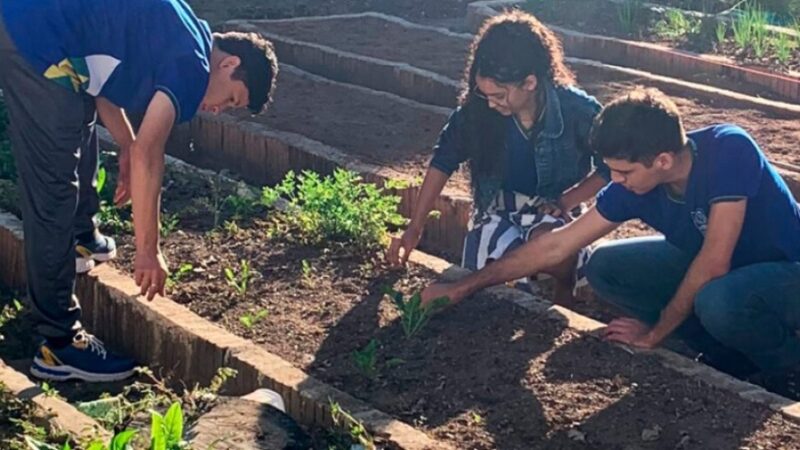 Estudantes que participam de projeto desenvolvido pela Seaf e Seduc desenvolvem sistemas de irrigação