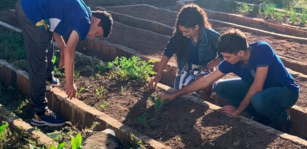 Estudantes que participam de projeto desenvolvido pela Seaf e Seduc desenvolvem sistemas de irrigação