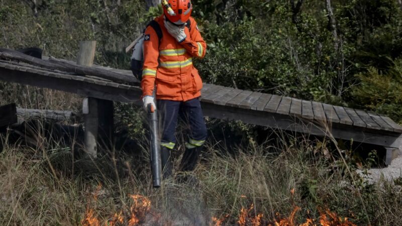 Vinte e oito bombeiros combatem incêndio na Estrada de Chapada; PM controla trânsito na região