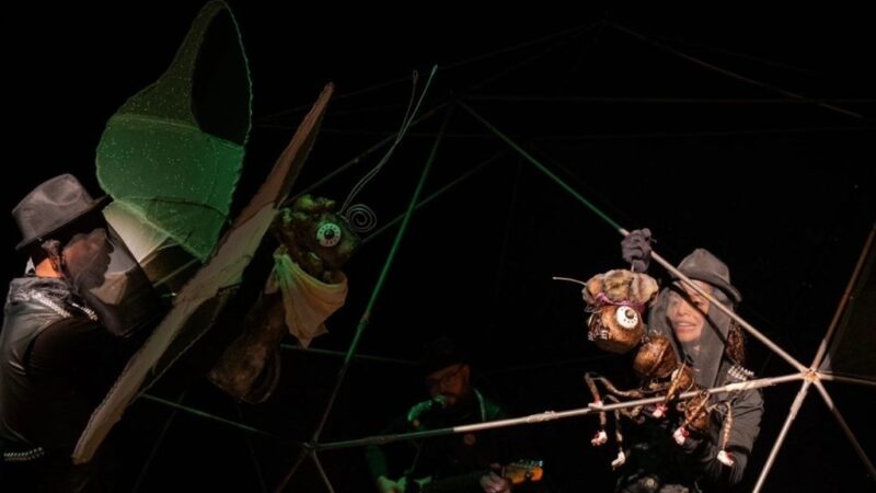 Teatro Experimental de Alta Floresta apresenta peça infantojuvenil no Cine Teatro Cuiabá