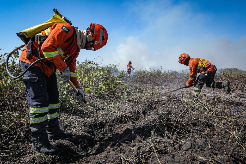 Corpo de Bombeiros combate 23 incêndios florestais nesta quinta-feira (22)