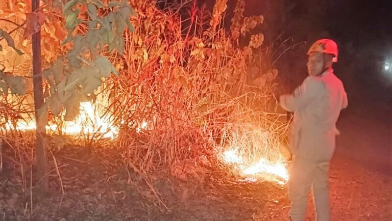 Bombeiros extinguem incêndio em vegetação em Santo Antônio de Leverger