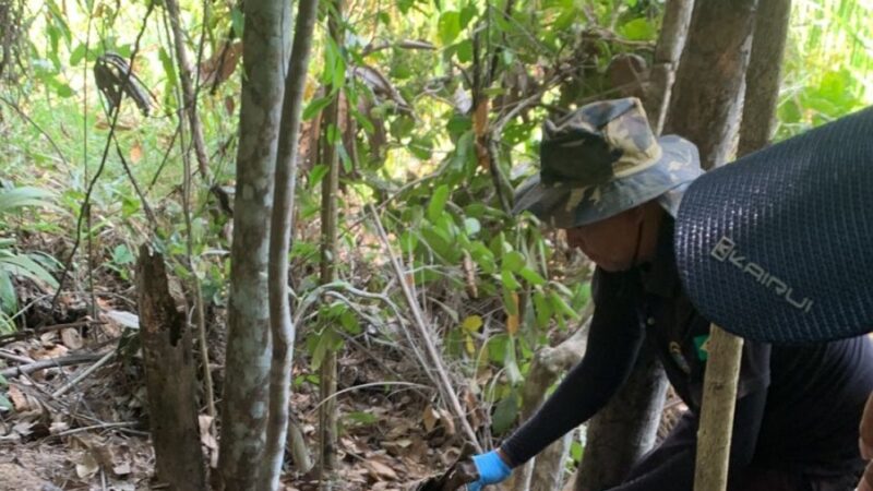Mulher envolvida em homicídio e ocultação de cadáver em Juína é presa pela Polícia Civil