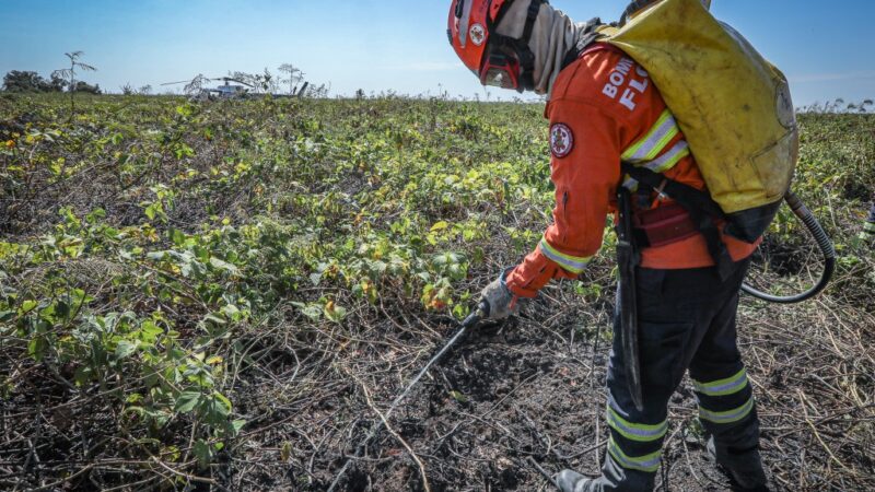 Bombeiros de MT combatem 27 incêndios florestais em Mato Grosso nesta quinta-feira (29)