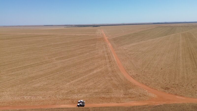 Interessados em participar de leilão da MT Par, de área de 2,4 mil hectares, devem se cadastrar até quarta-feira (7)
