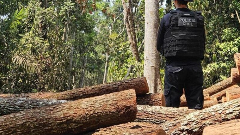 Operação em Comodoro apreende cargas de madeira ilegal e prende seis pessoas em flagrante