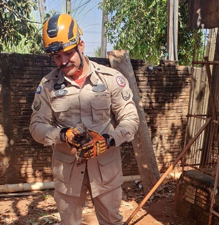 Bombeiros resgatam filhote de cachorro que ficou preso em tubulação de residência