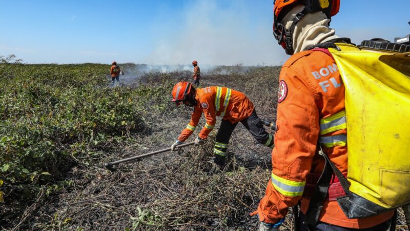 Entenda como as condições climáticas influenciam no combate aos incêndios no Pantanal