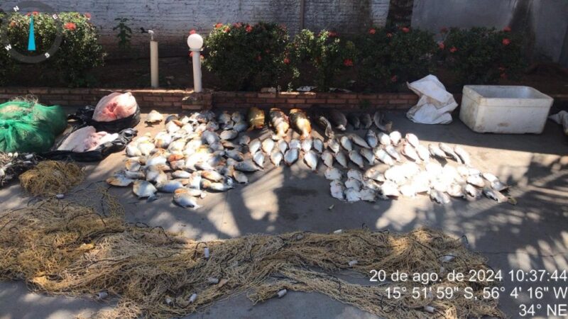 Polícia Militar e Sema apreendem 102 quilos de pescado e 33 quilos de carne de jacaré em Barão de Melgaço