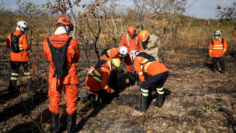 Bombeiros de MT capacitam 16 militares de seis estados em perícia de incêndios florestais