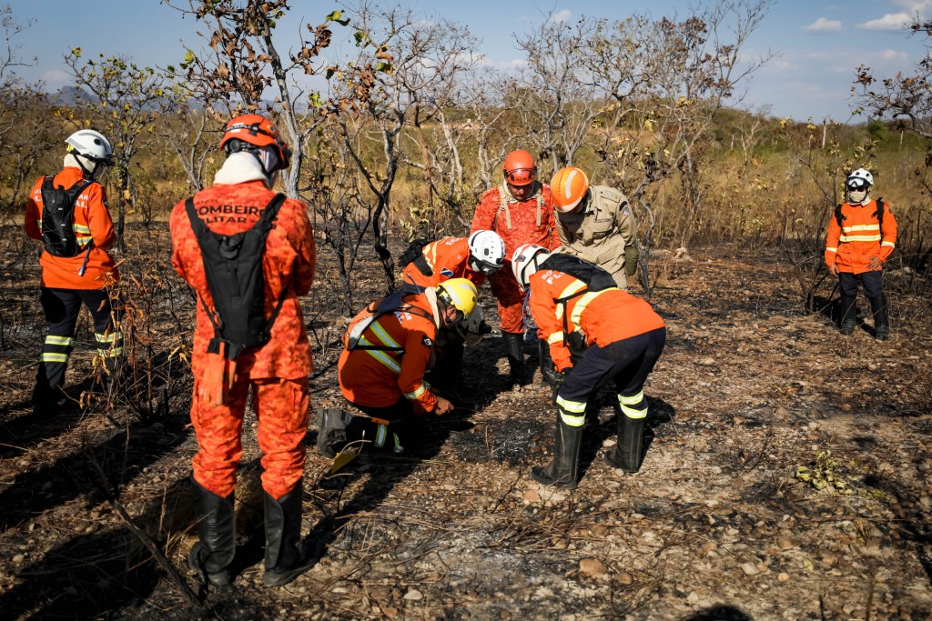Bombeiros de MT capacitam 16 militares de seis estados em perícia de incêndios florestais