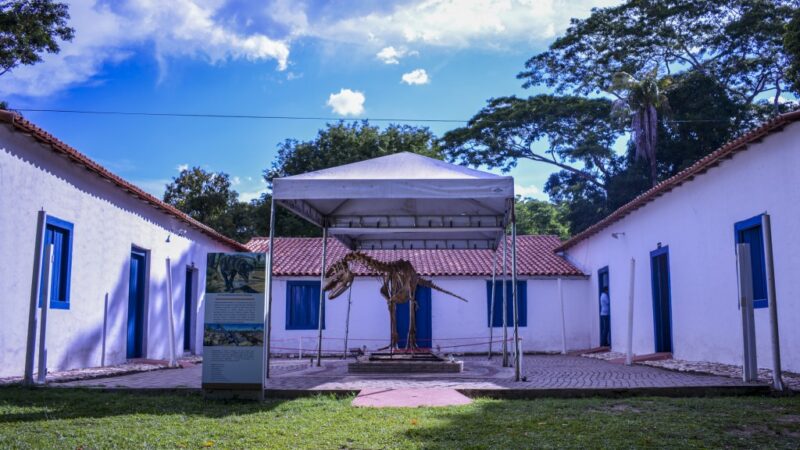 Museu de História Natural traz novas oficinas gratuitas em agosto