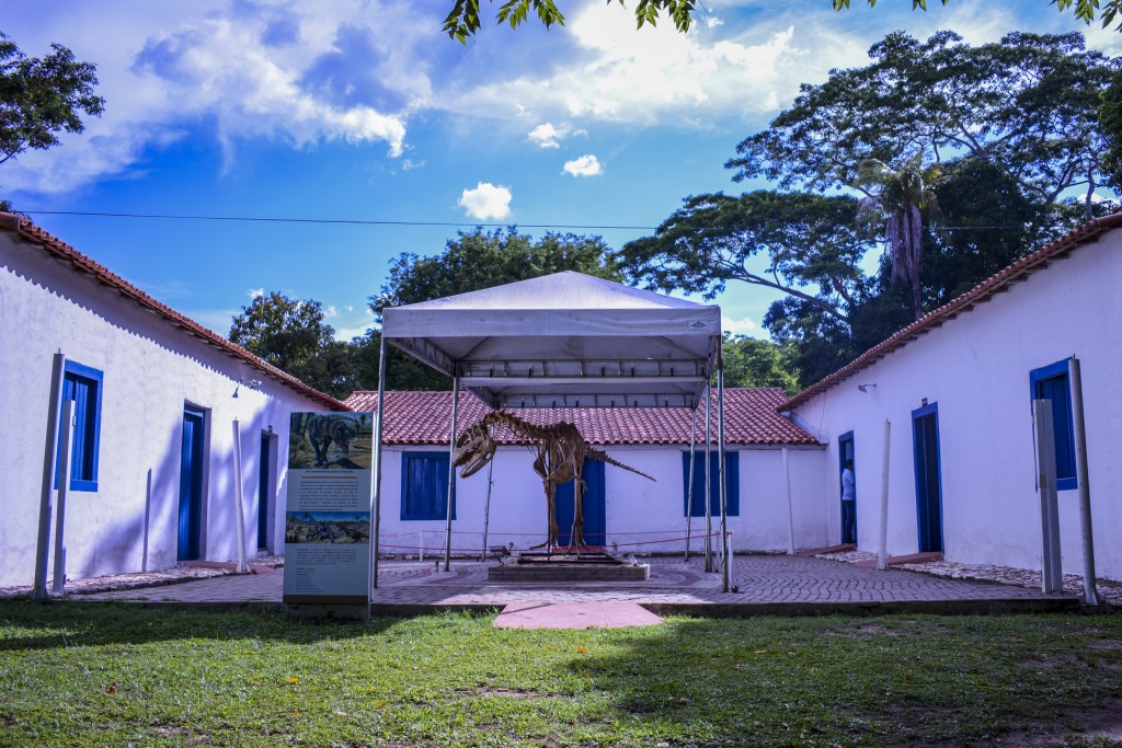 Museu de História Natural traz novas oficinas gratuitas em agosto