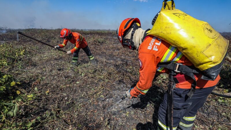 225 bombeiros de MT combatem incêndios florestais no Estado nesta sexta-feira (30)
