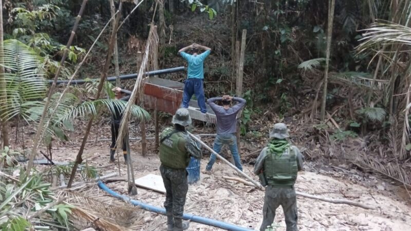Sesp reforça combate a crimes ambientais com a operação Meio Ambiente Seguro