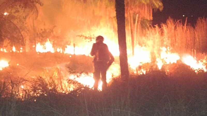 Bombeiros combatem incêndio em vegetação em rodovia próxima a Santo Antônio de Leverger