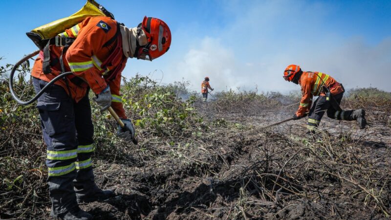 Corpo de Bombeiros combate 39 incêndios florestais em MT nesta terça-feira (27)