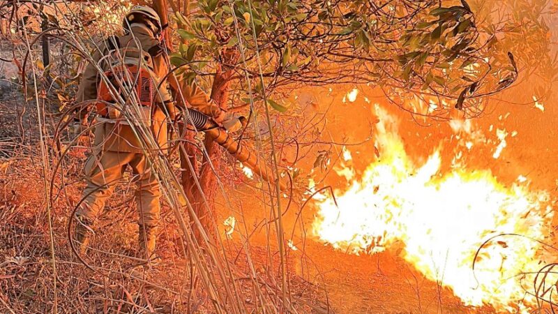 Corpo de Bombeiros combate incêndio na região do Centro Político Administrativo em Cuiabá