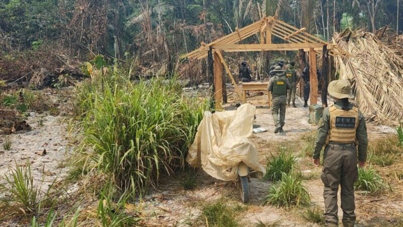 Operação conjunta identifica crimes ambientais em reserva no Mato Grosso