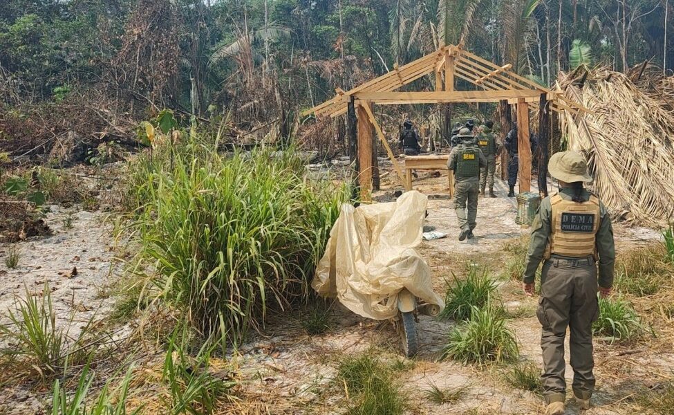Operação conjunta identifica crimes ambientais em reserva no Mato Grosso