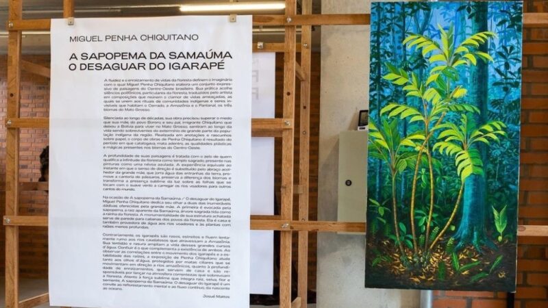 Miguel Penha lança nova exposição nesta sexta-feira (02) em Chapada dos Guimarães