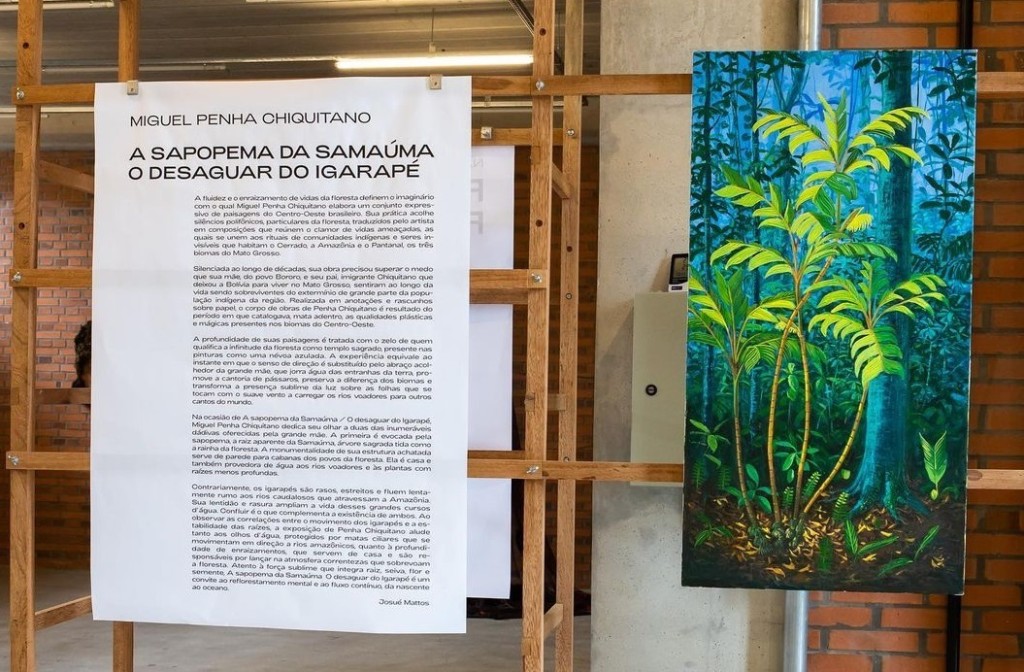 Miguel Penha lança nova exposição nesta sexta-feira (02) em Chapada dos Guimarães