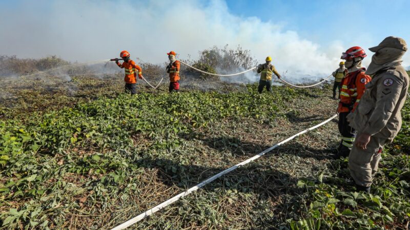 Corpo de Bombeiros combate 18 incêndios em Mato Grosso nesta quarta-feira (07)