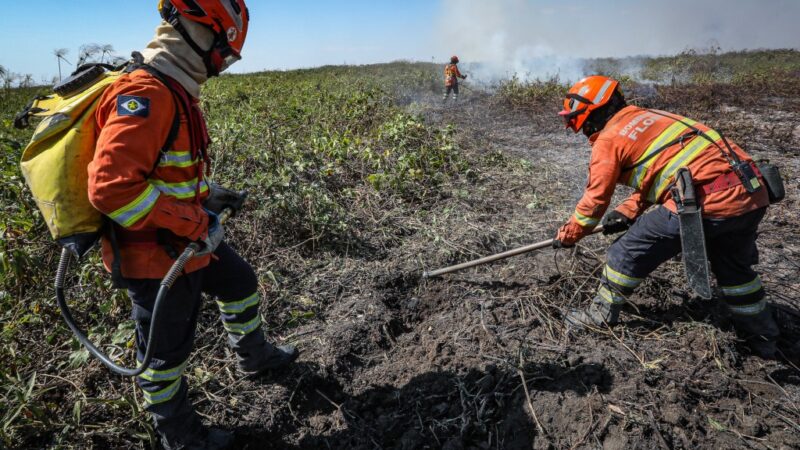 Corpo de Bombeiros convoca classificados para testes práticos do processo seletivo de brigadistas