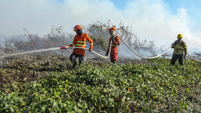 Corpo de Bombeiros combate 20 incêndios florestais em Mato Grosso nesta quarta-feira (21)