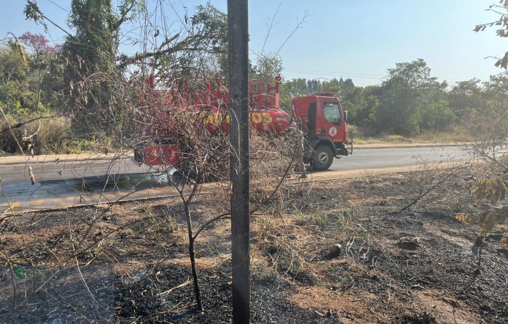 Bombeiros extinguem incêndio em terreno baldio e impedem que chamas atinjam área de reserva