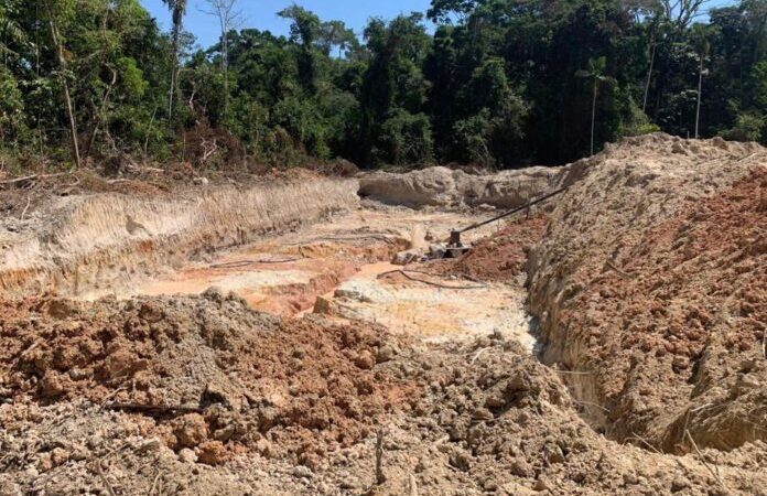 MP cita danos de R$ 27 milhões e aciona fazendeiros por destruição ambiental em Mato Grosso