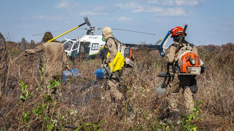Corpo de Bombeiros combate 50 incêndios florestais nesta terça-feira (24)