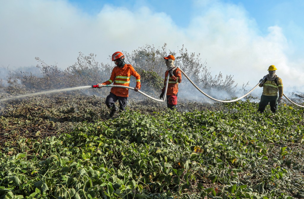 Bombeiros de MT combatem 49 incêndios florestais nesta quinta-feira (26)